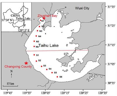 Effects of Nutrient Levels on Microbial Diversity in Sediments of a Eutrophic Shallow Lake